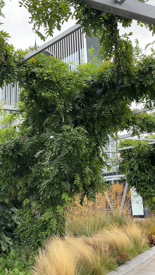 Post 3 by Izzie ✨ Exploring London on TikTok (video)