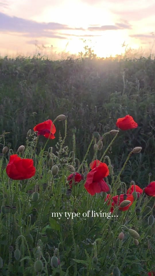 Post 7 by Jenna | Yorkshire Content on TikTok (video)