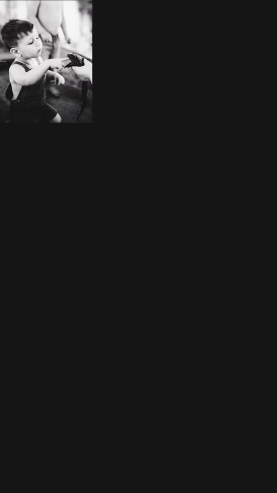 Post 1 by Petite Cherie Photography on TikTok (video)