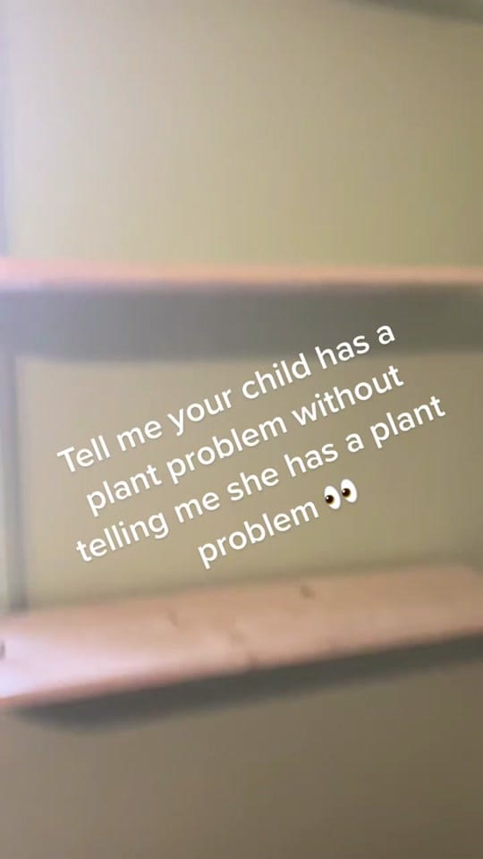 Post 10 by Petite Cherie Photography on TikTok (video)