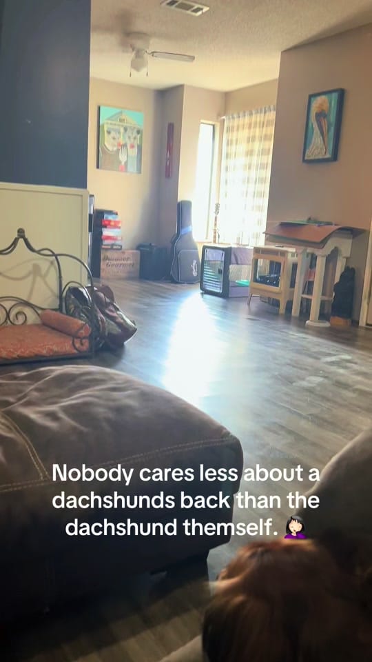 Post 2 by Petite Cherie Photography on TikTok (video)