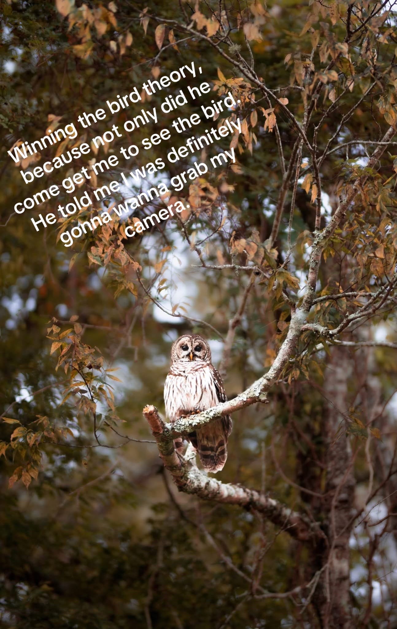 Post 5 by Petite Cherie Photography on TikTok (video)