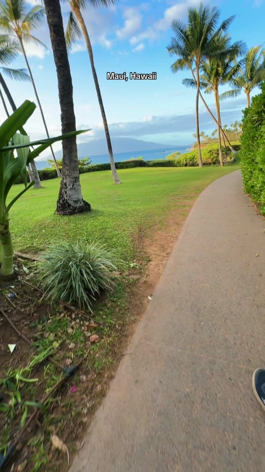 Post 4 by Shaka_Hawaii on TikTok (video)