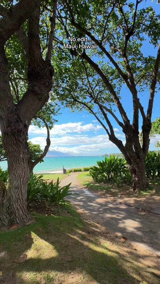 Post 2 by Shaka_Hawaii on TikTok (video)
