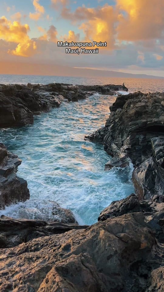 Post 9 by Shaka_Hawaii on TikTok (video)