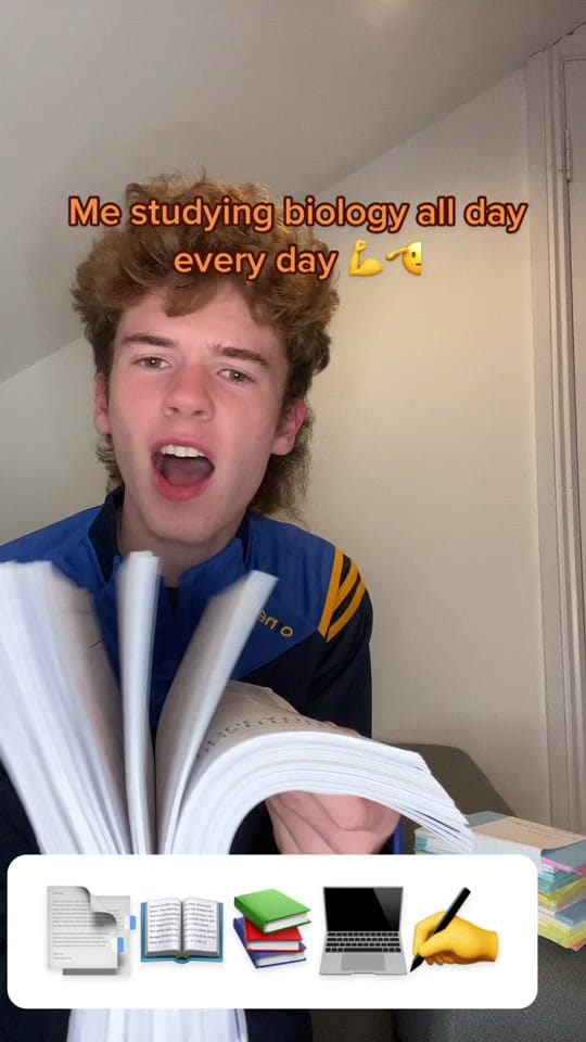Post 10 by ExamRevision.ie on TikTok (video)