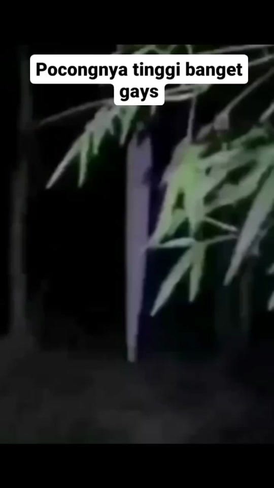 Post 9 by arenaidstore on TikTok (video)