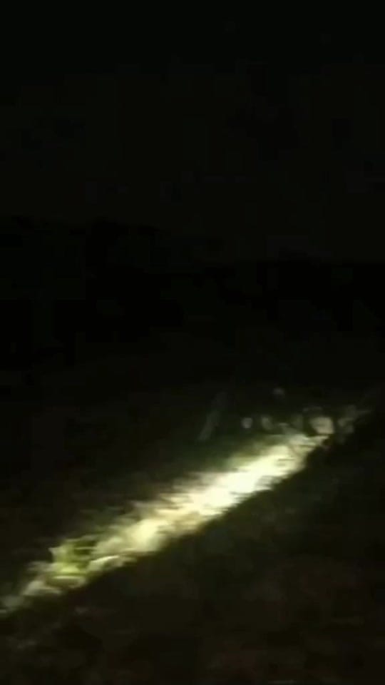 Post 3 by arenaidstore on TikTok (video)