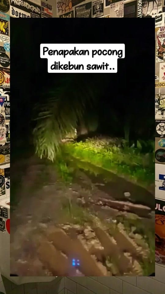 Post 4 by arenaidstore on TikTok (video)
