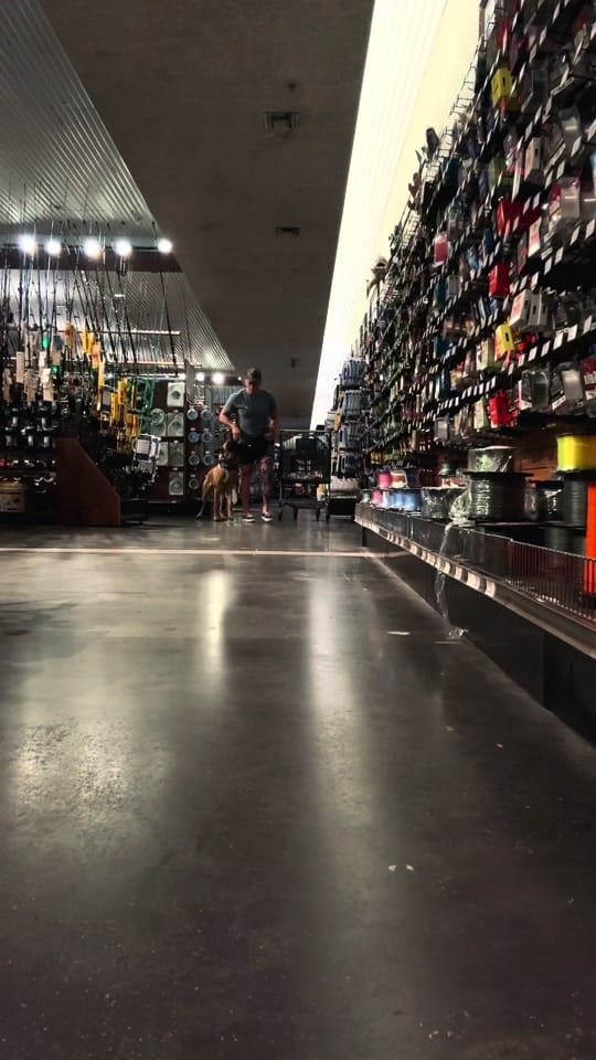 Post 1 by Joel Haskins on TikTok (video)