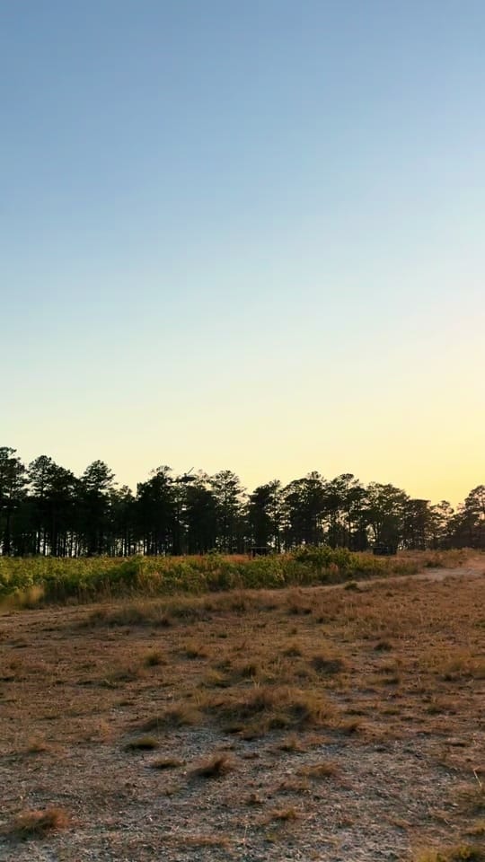 Post 6 by Joel Haskins on TikTok (video)