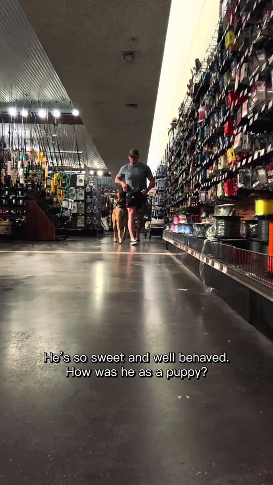 Post 2 by Joel Haskins on TikTok (video)