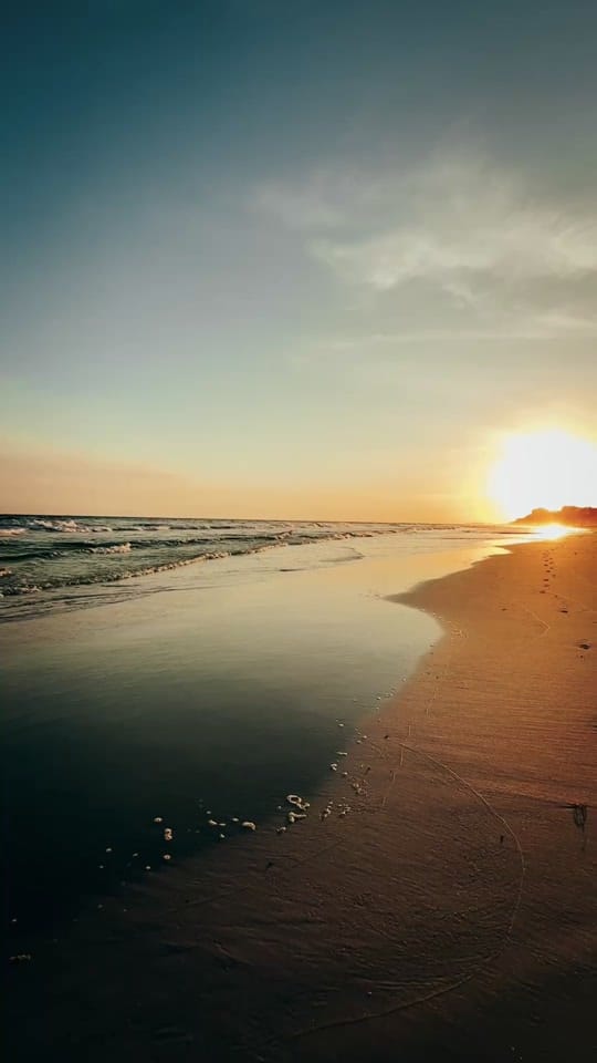 Post 3 by Joel Haskins on TikTok (video)