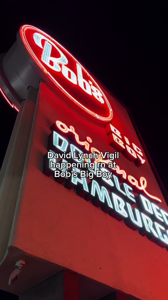 Post 5 by Amy Darling Doe on TikTok (video)