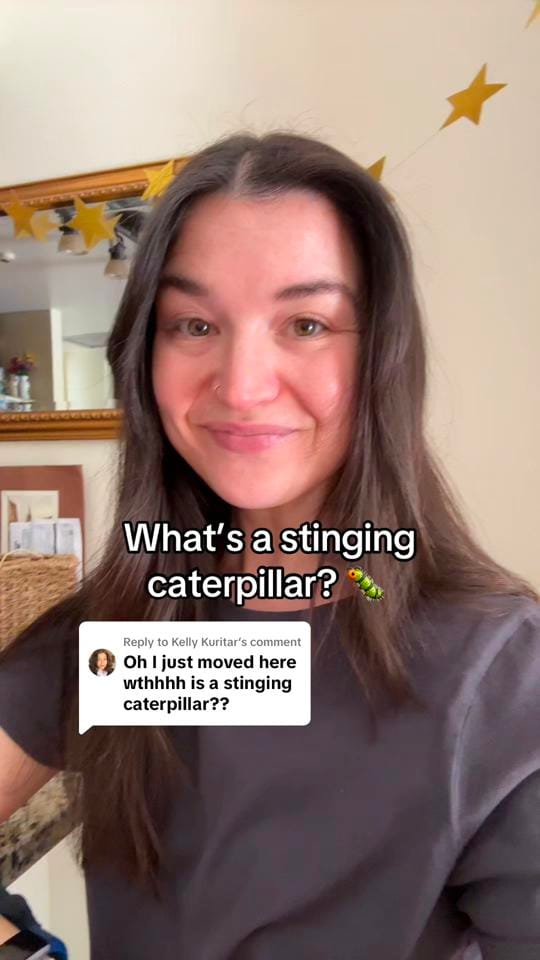 Post 4 by Kaitlyn McQuin on TikTok (video)