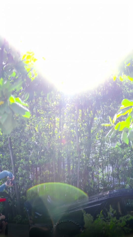 Post 4 by barney on TikTok (video)