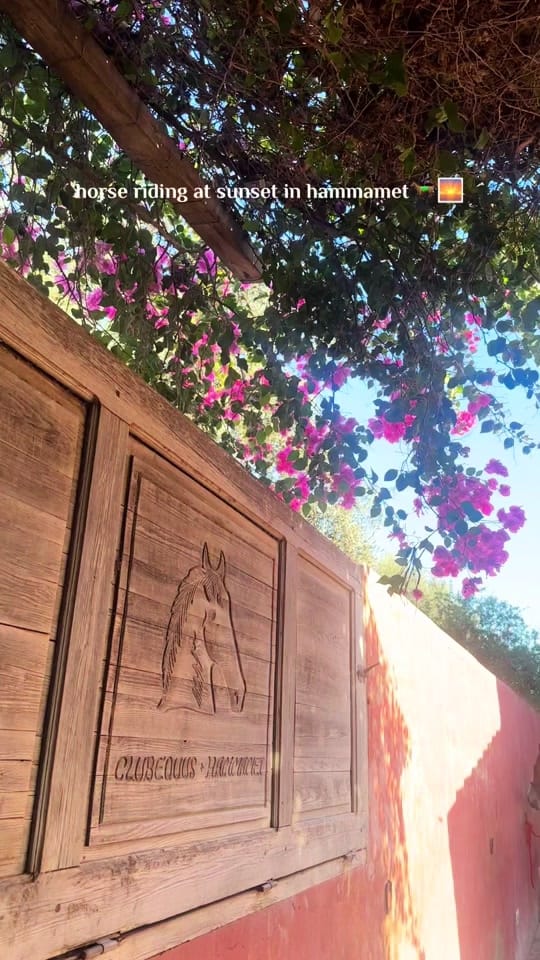 Post 2 by Azra - Photographer on TikTok (video)