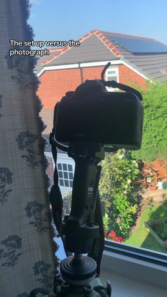 Post 2 by Laura Elizabeth 📸 on TikTok (video)
