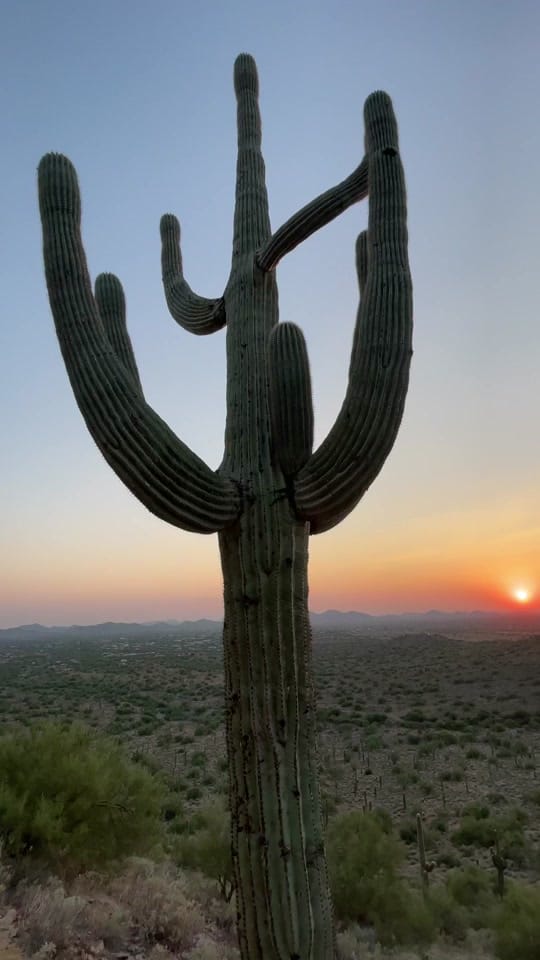 Post 5 by Living in Arizona Now on TikTok (video)