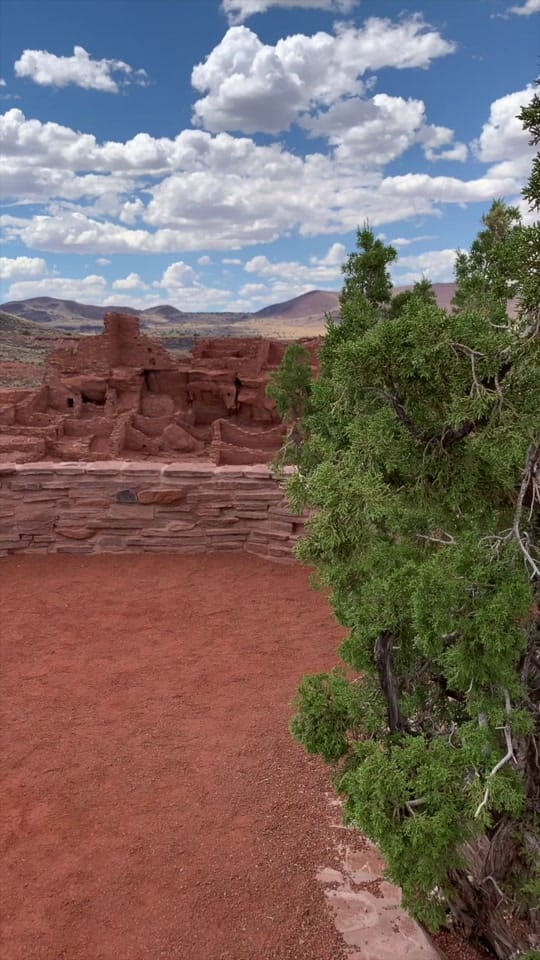 Post 3 by Living in Arizona Now on TikTok (video)