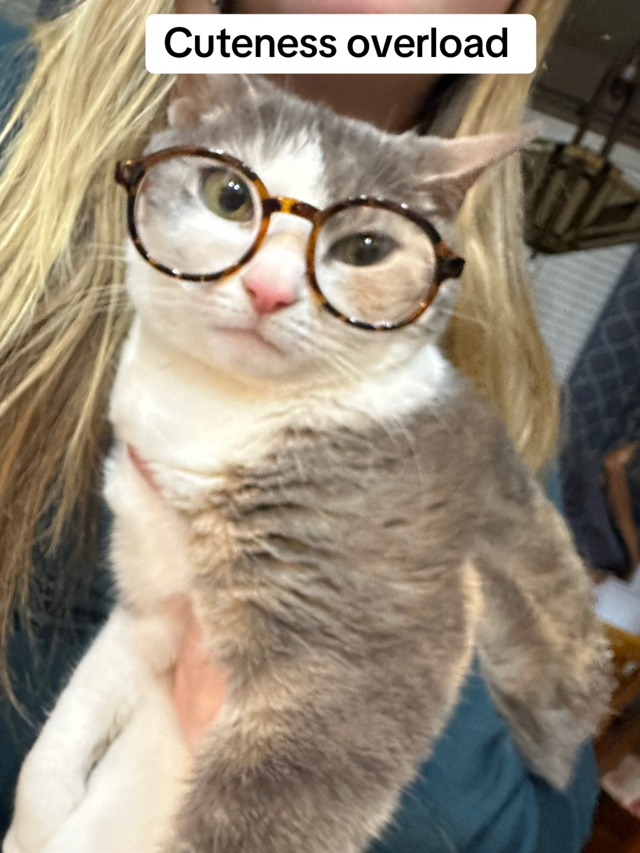 Post 10 by Amy Womack ❌ on TikTok (video)
