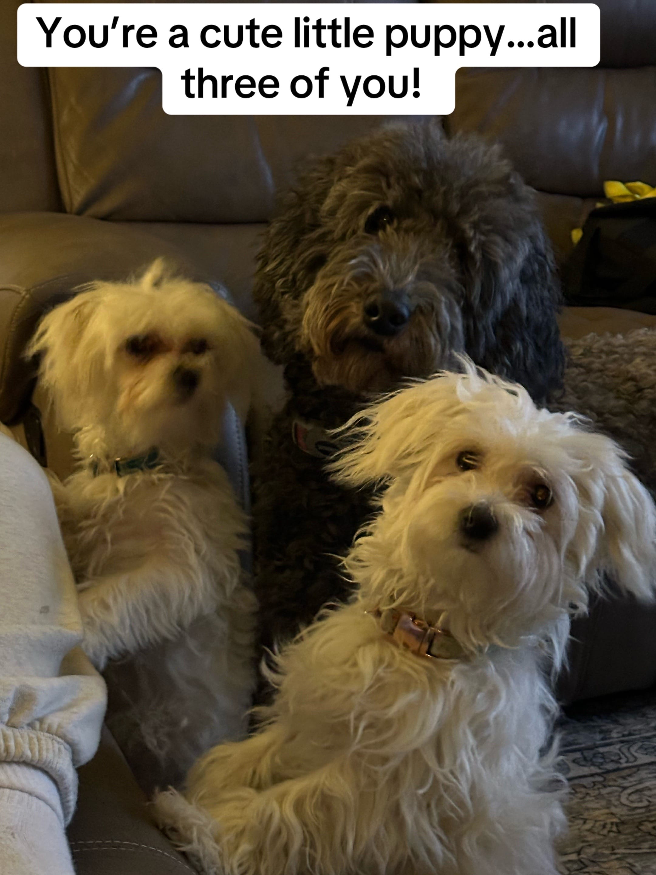 Post 5 by Amy Womack ❌ on TikTok (video)