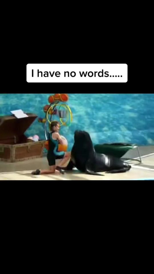 Post 8 by Y̶e̶a̶M̶i̶g̶o̶✨ on TikTok (video)