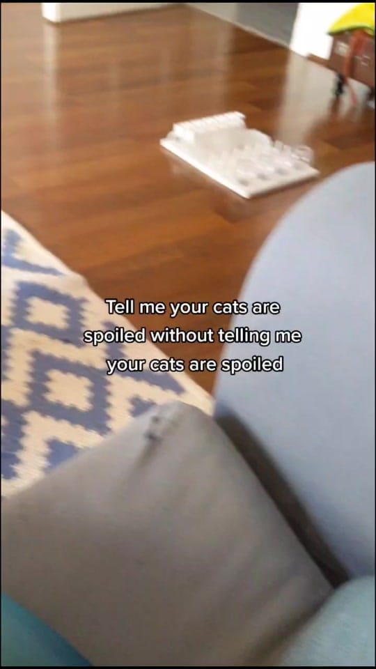 Post 9 by Charlie in London on TikTok (video)