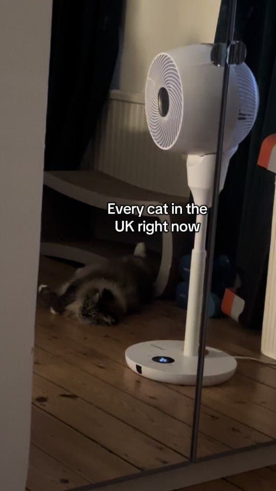 Post 7 by Charlie in London on TikTok (video)