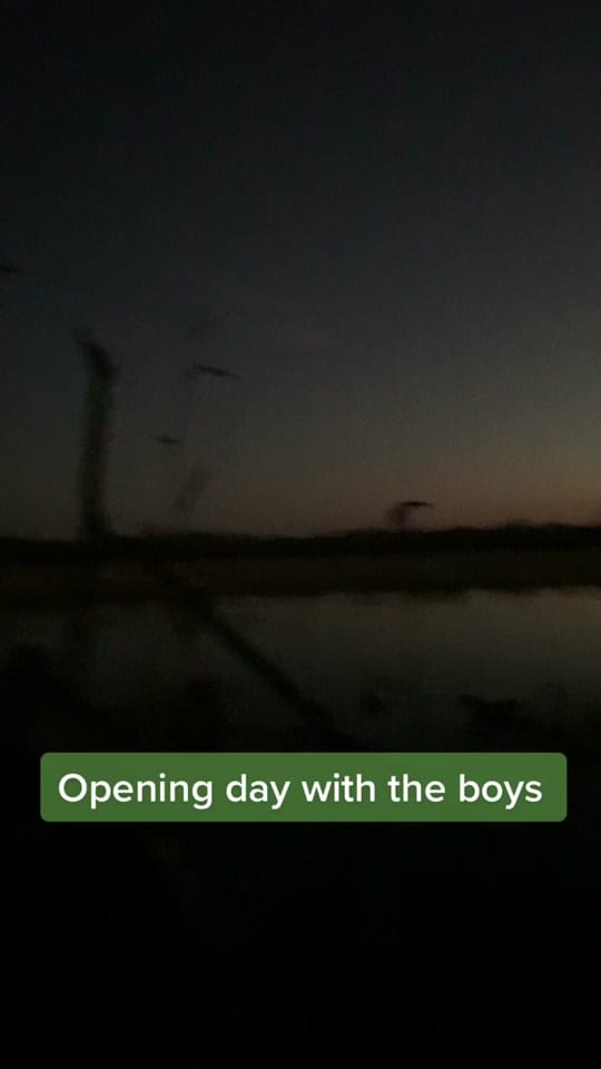 Post 2 by Eli McFadden on TikTok (video)