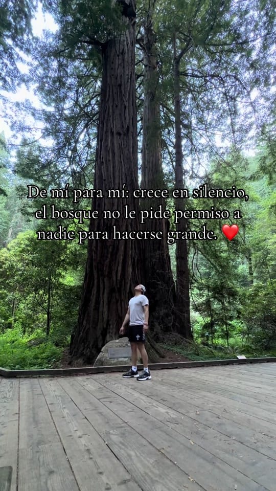 Post 3 by Reyjmercado on TikTok (video)