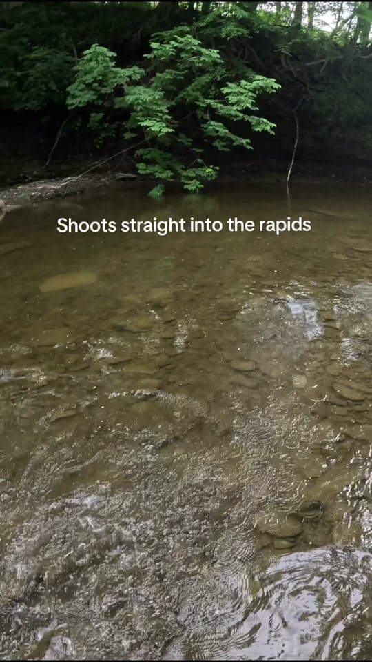 Post 3 by creekbeasts on TikTok (video)