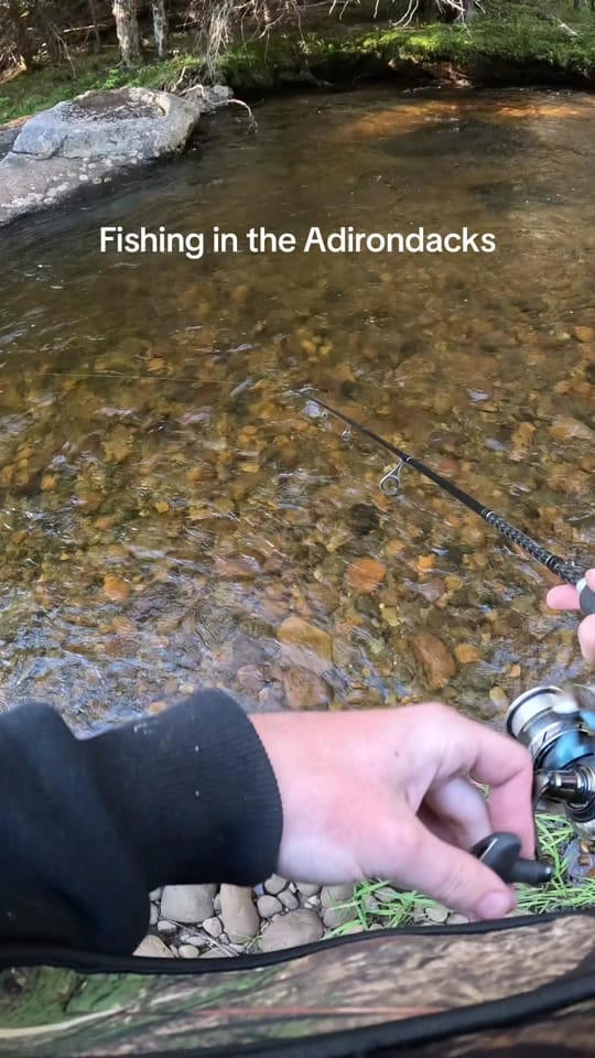 Post 1 by creekbeasts on TikTok (video)