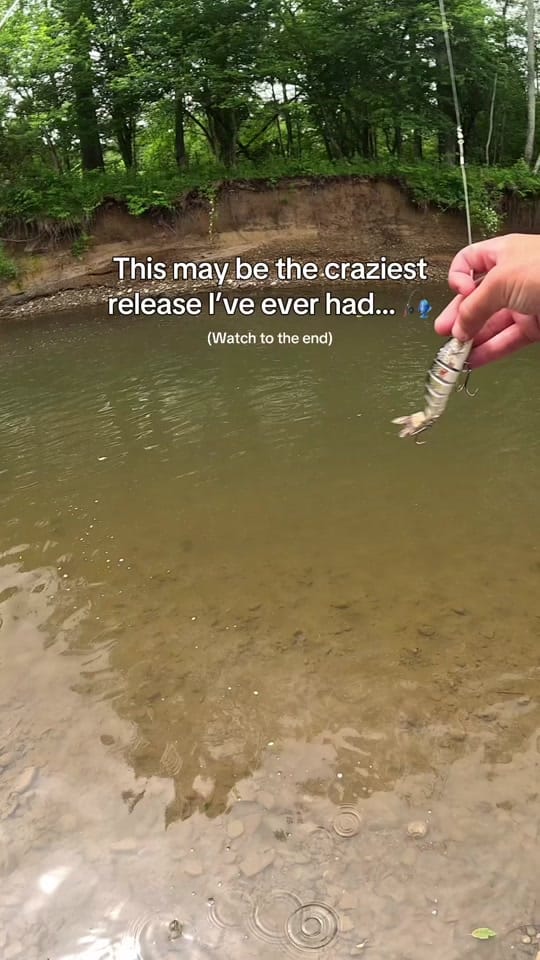 Post 4 by creekbeasts on TikTok (video)