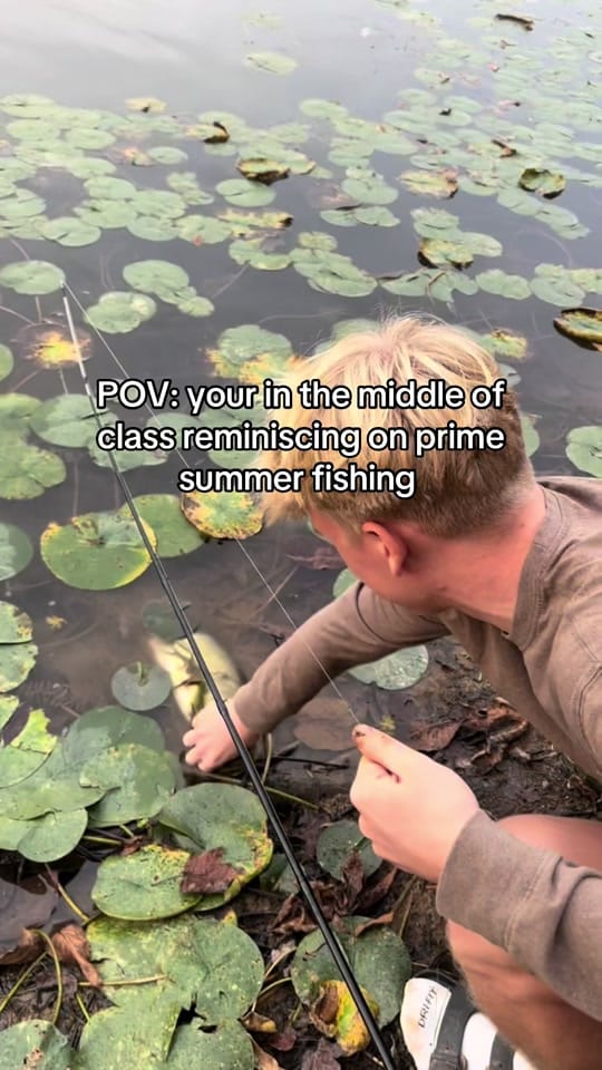 Post 10 by creekbeasts on TikTok (video)