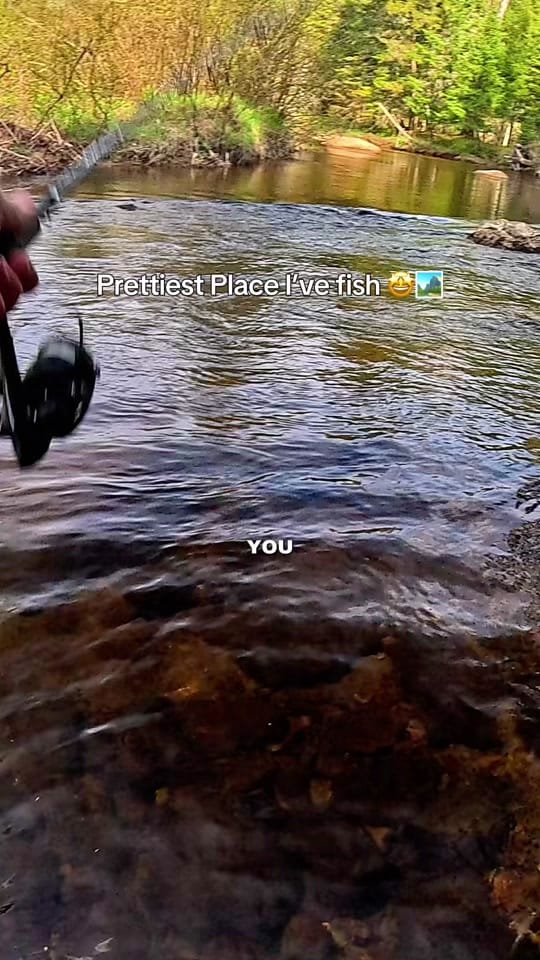 Post 2 by creekbeasts on TikTok (video)