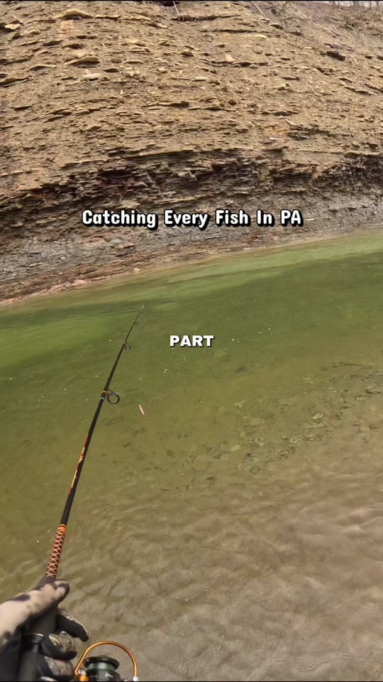 Post 9 by creekbeasts on TikTok (video)