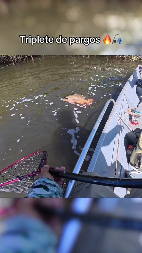 Post 6 by Pesca Poker Baja Angler on TikTok (video)