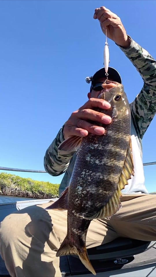 Post 2 by Pesca Poker Baja Angler on TikTok (video)
