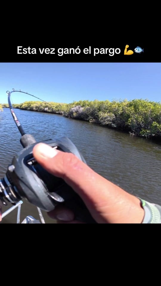 Post 4 by Pesca Poker Baja Angler on TikTok (video)