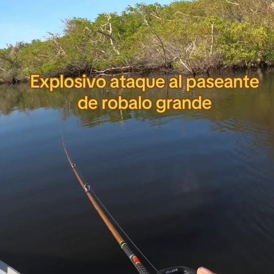 Post 10 by Pesca Poker Baja Angler on TikTok (video)