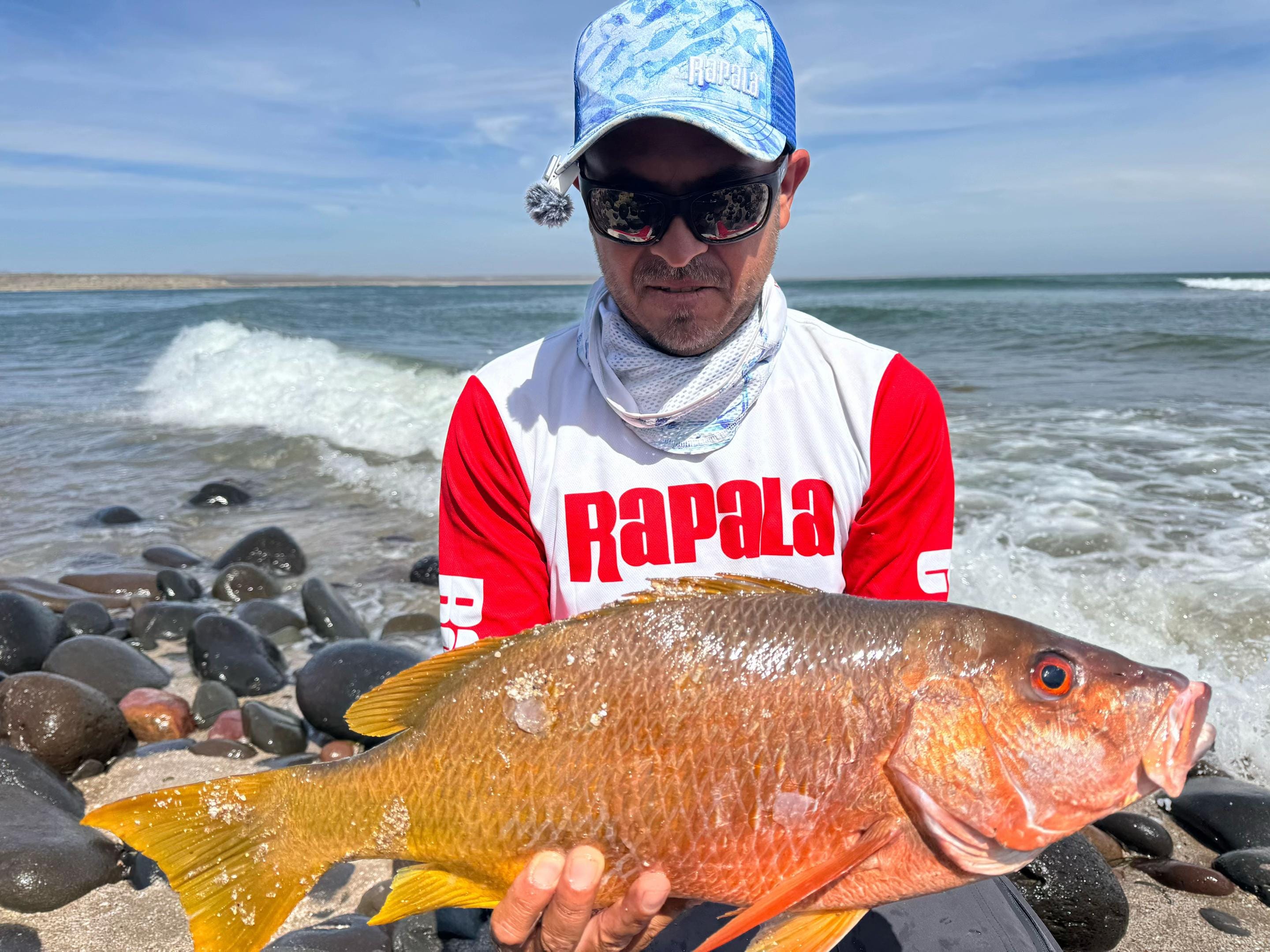 Post 7 by Pesca Poker Baja Angler on TikTok (video)