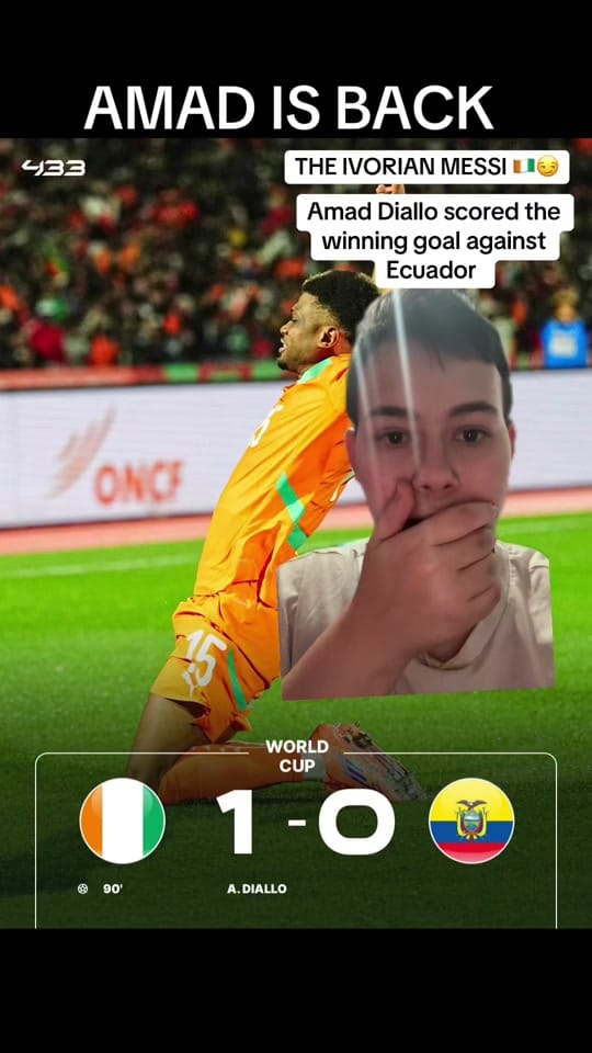 Post 7 by BrorgzTV on TikTok (video)