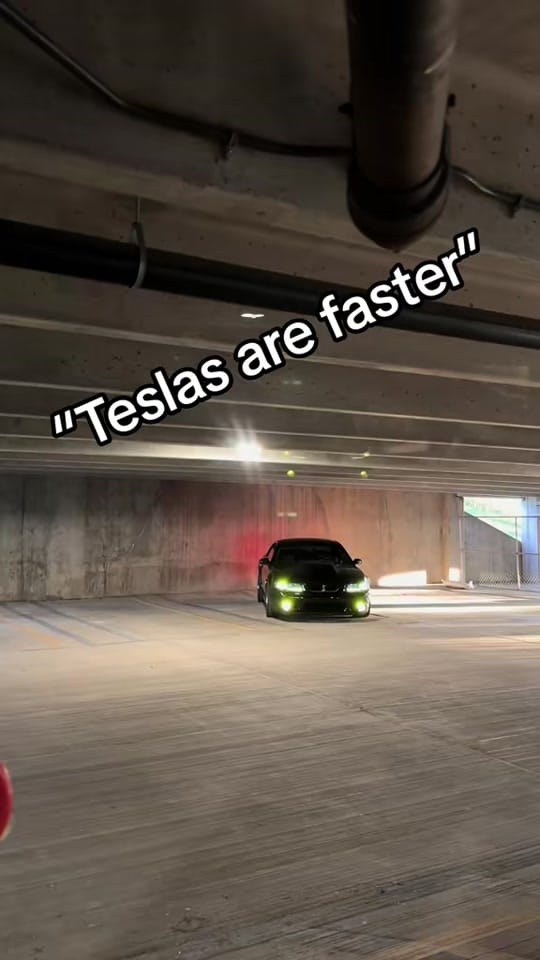 Post 5 by Hooked Visuals on TikTok (video)