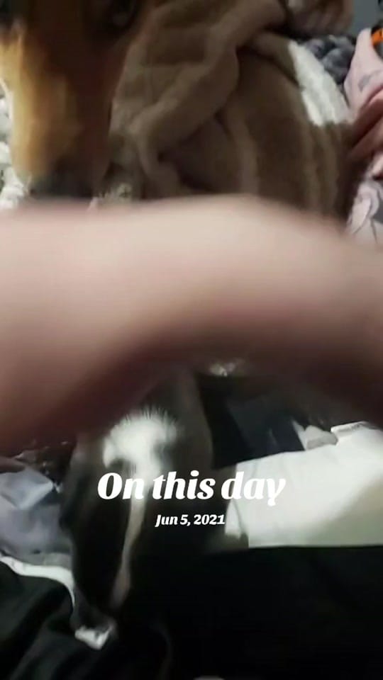Post 2 by CrowStudios on TikTok (video)