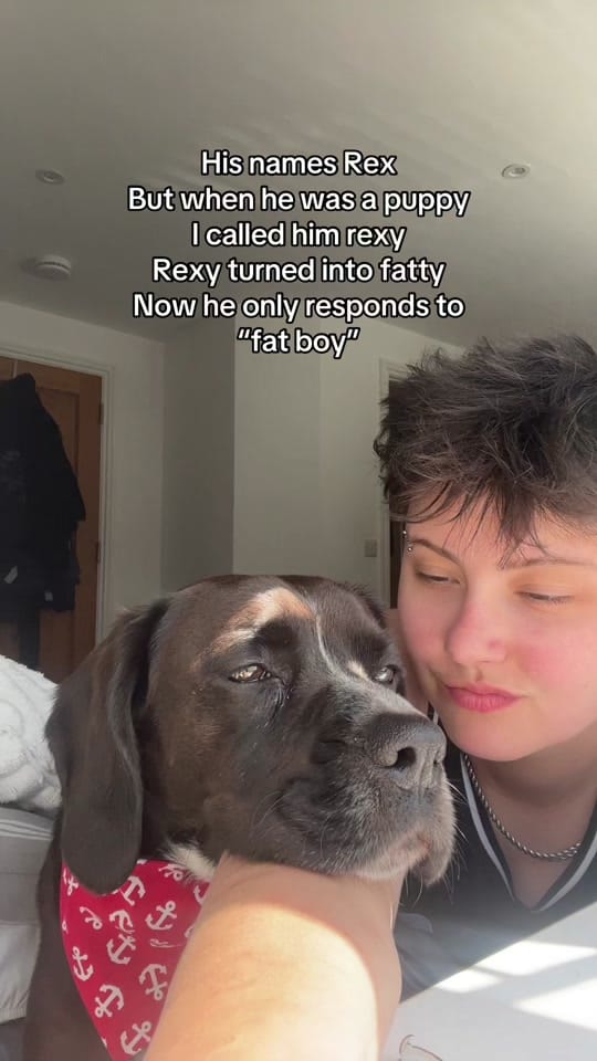 Post 2 by Hannah C on TikTok (video)