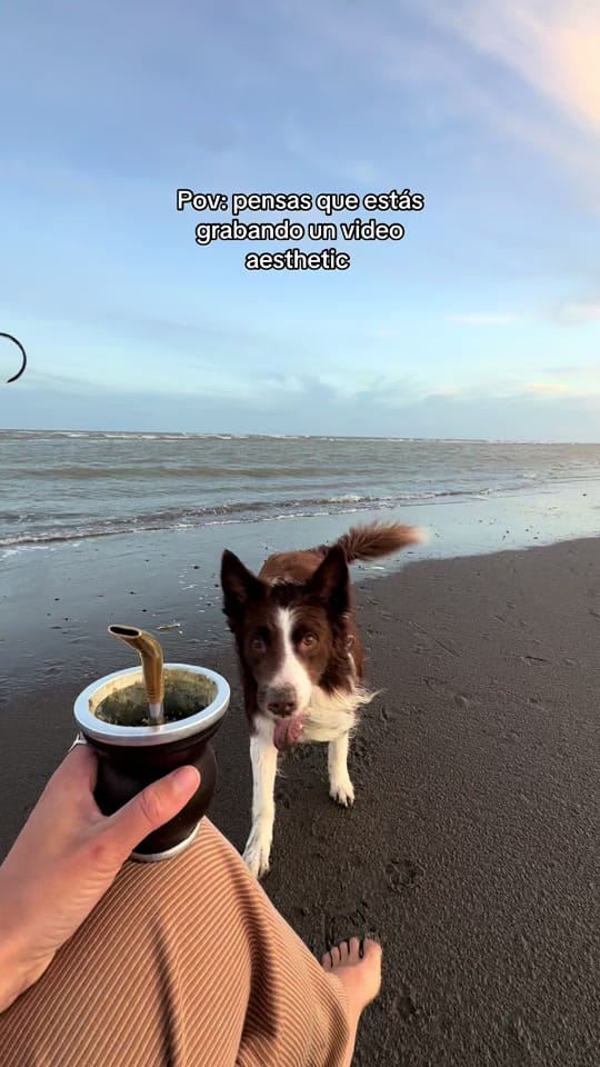 Post 7 by luzkite on TikTok (video)
