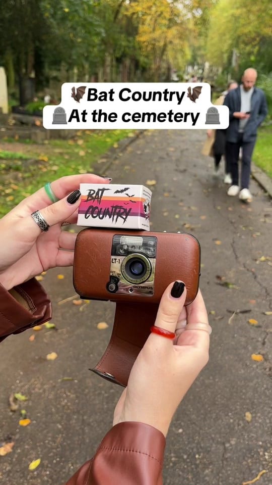 Post 8 by Zoe 🎞️ on TikTok (video)