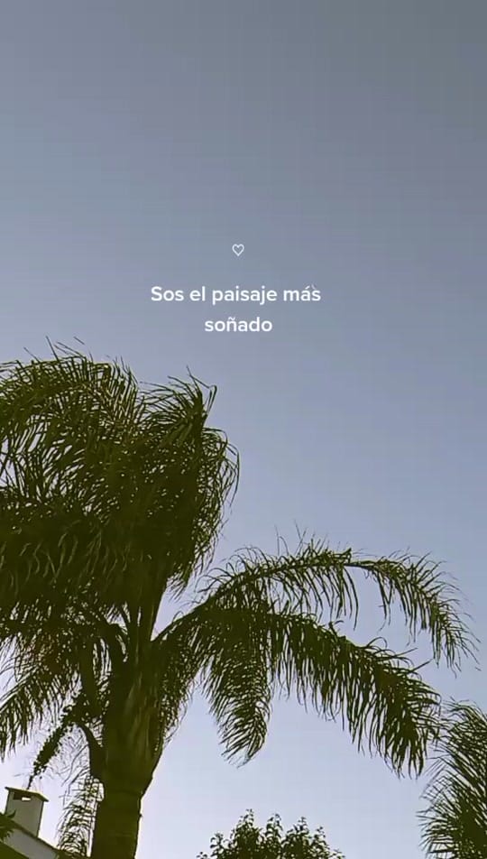 Post 6 by papitas on TikTok (video)