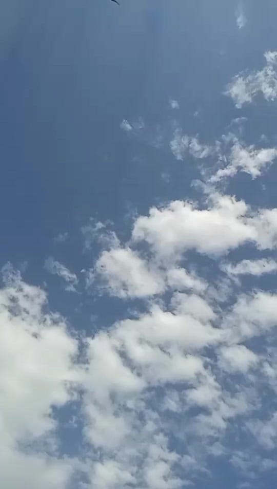 Post 5 by papitas on TikTok (video)